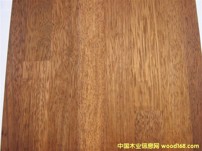 ���_��Merbau