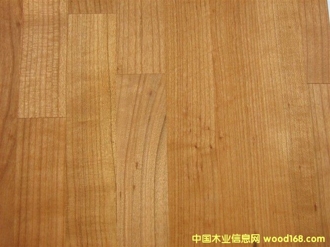 �W�ޙ���ľCherry