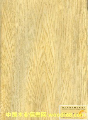 ZD9919��Ԕ����B