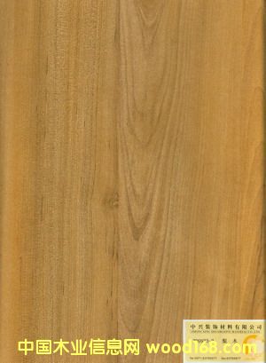 ZD9933-3��Ԕ����B