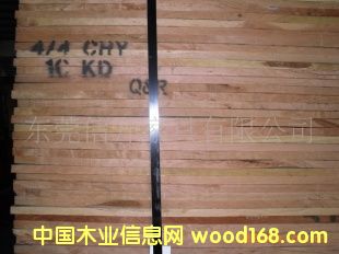 ��������ľ��Ԕ��(x��)��B