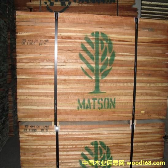 ��������ľ��Ԕ��(x��)��B