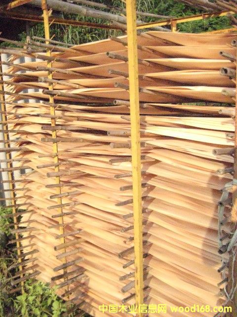 ��ľ����Ԕ��(x��)��B