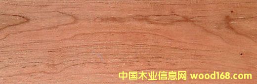 ����ľ Cherry��Ԕ��(x��)��B