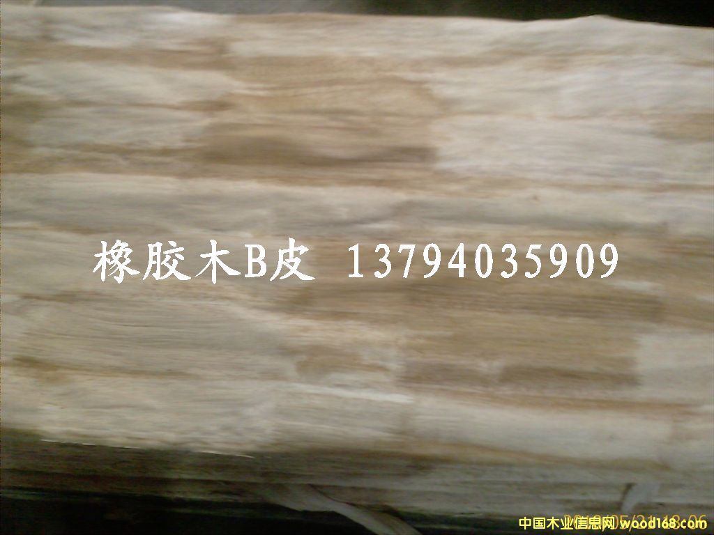 ���zľָ��Ƥ��Ԕ��(x��)��B