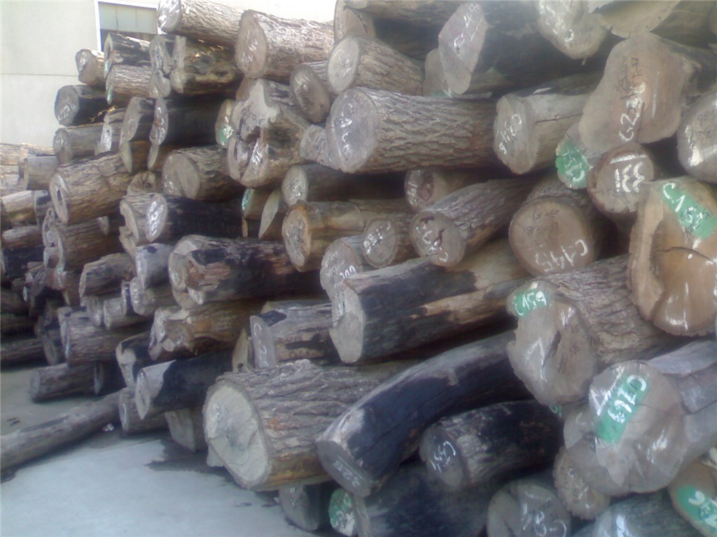 С�~�t̴��Ԕ��(x��)��B