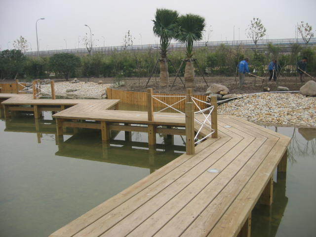 ����ľƽ�_��Ԕ��(x��)��B