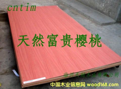 ��Ȼ�t���ҵ�Ԕ��(x��)��B