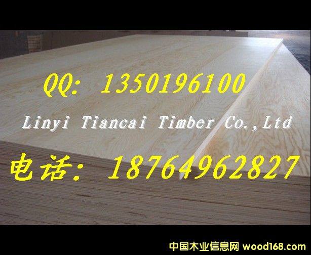 �����T�����z�ϰ����|(zh��)���ɿ����r�����