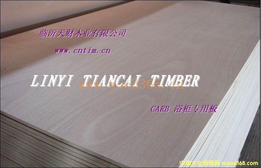 �ͼ�ȩ���|(zh��)��CARB�z�ϰ��Ԕ��(x��)��B