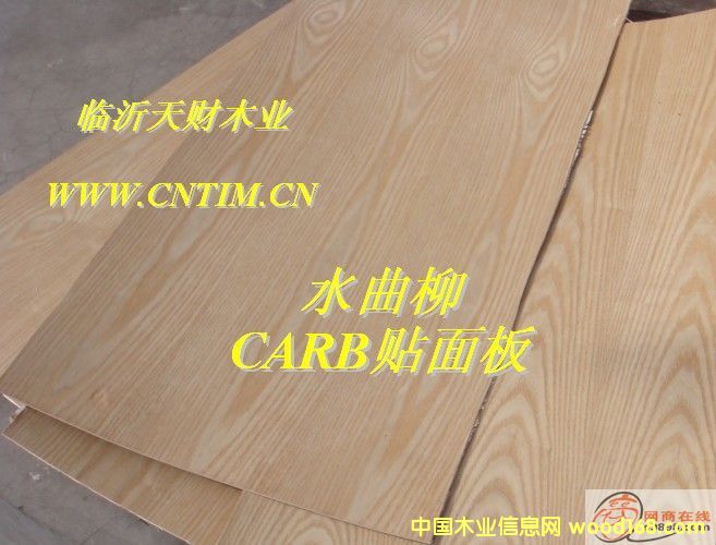 ˮ���������Ԕ��(x��)��B