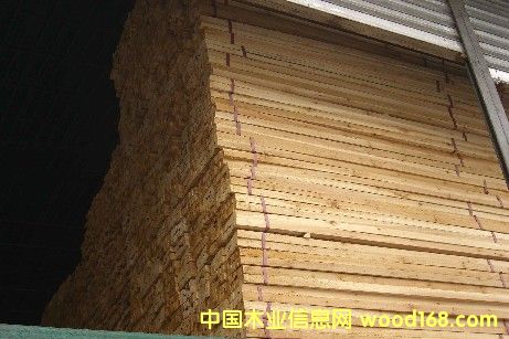 ������ԭľ  ���      ��Ԕ����B