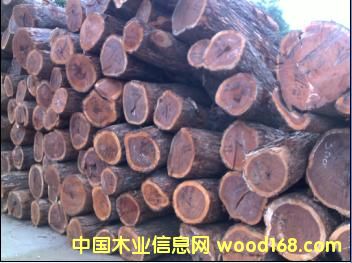 ������֦��Ԕ����B