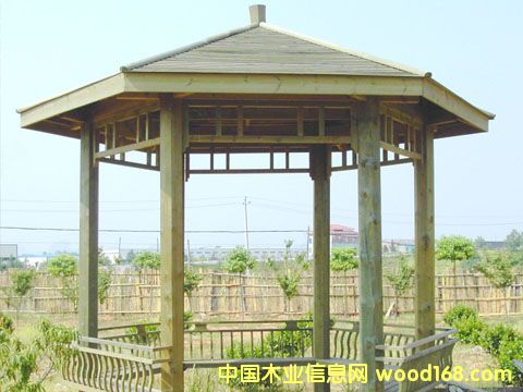 ����ľͤ��Ԕ��(x��)��B