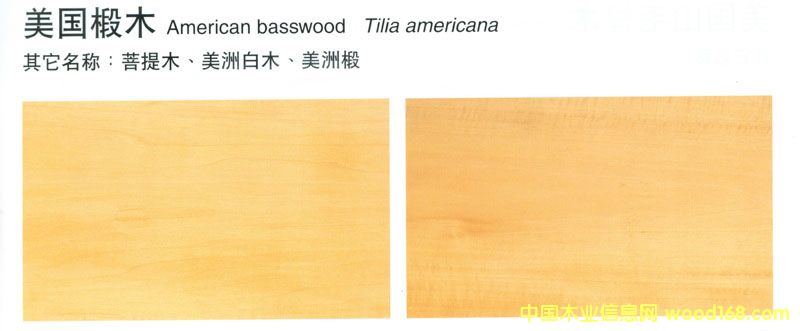 FSC�ľ(Basswood)
