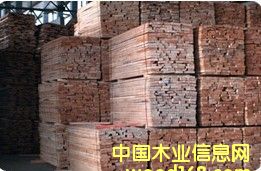 �W�ޙ�ľ����ľë���Ԕ����B