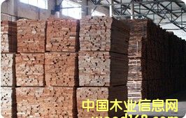 �W�ޙ�ľ����ľ��ĵ�Ԕ����B