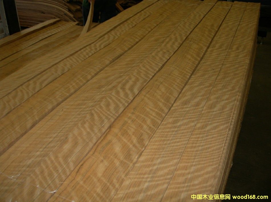 ��ӰĪɣ�ȿ�����Ӱ����