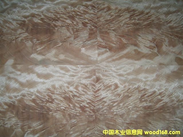 ���Ә�����CHESTNUT BURL