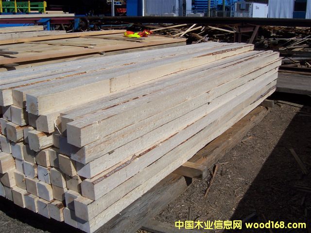 ��ɼ���ԭľ��Ԕ����B