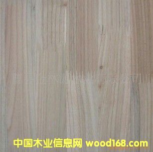 ɼľָ���T(m��n)��