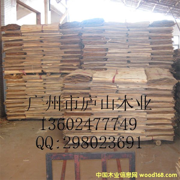 ��ľ�ΰ�һ��(j��)���Ԕ��(x��)��B