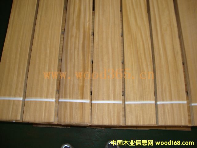 ����ľ��ľƤ��Ԕ����B