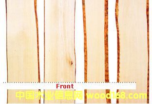 �M(j��n)�ڷ���ë߅��ľ��Ԕ��(x��)��B