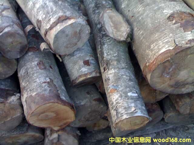 ɽ�ҵ�Ԕ��(x��)��B