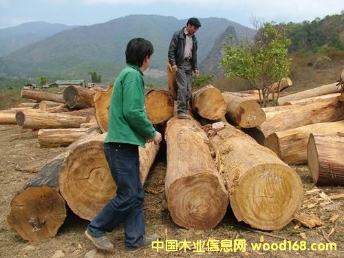 �������ľ