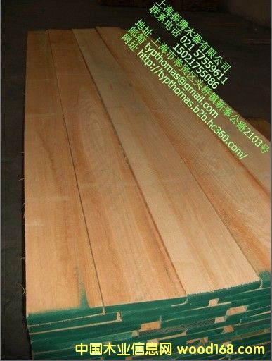 ����(y��ng)�t������ָ�Ӱ�������