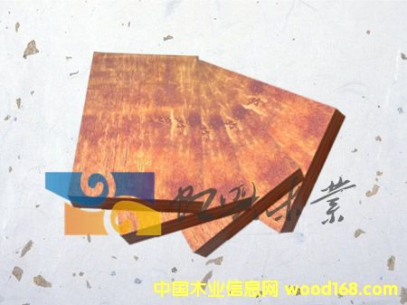 ����ģ���Ԕ��(x��)��B