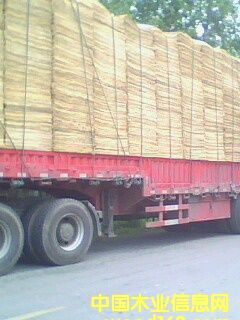 ��ľ�ΰ� ľƤ ��Ƥ��Ԕ��(x��)��B