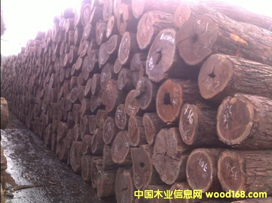 �t�F����Ԕ����B