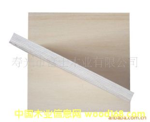 �Ҿ��Ø�ľ�N����z�ϰ�