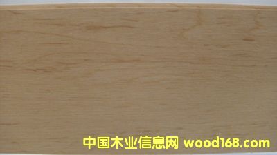 ��ľ�y���w��ľ�ذ��Ԕ��(x��)��B