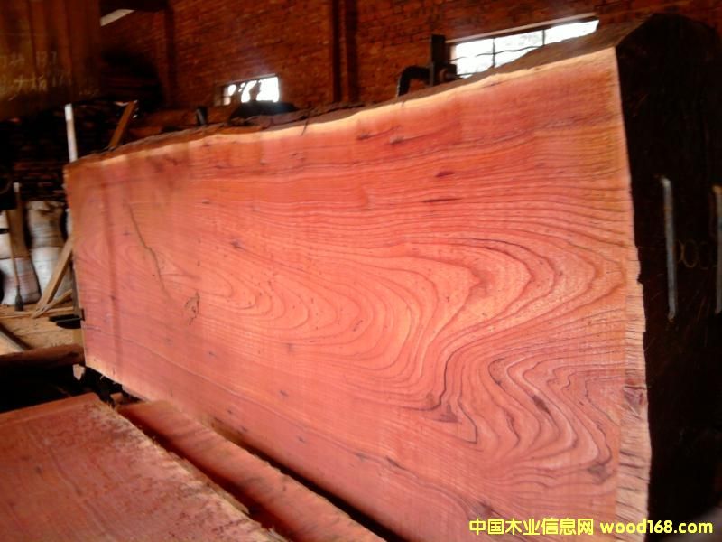 ��ľ����Ԕ��(x��)��B