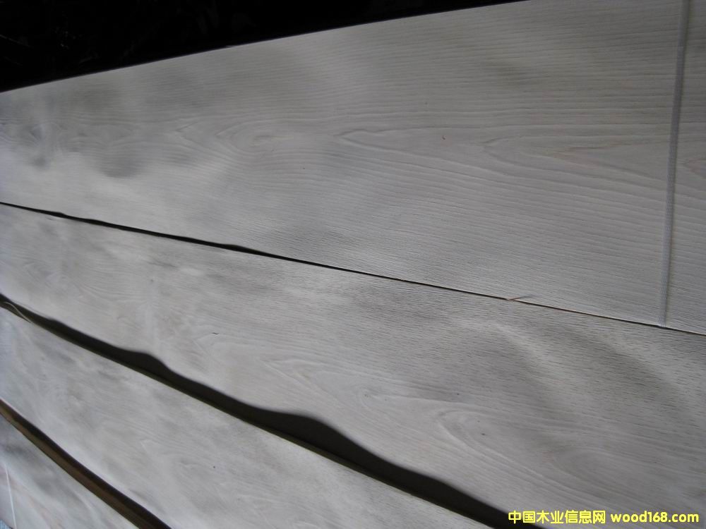 ɽ����ľƤ��Ԕ����B