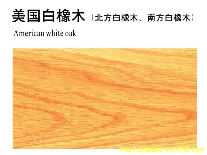 ����(gu��)����ľ��Ԕ��(x��)��B