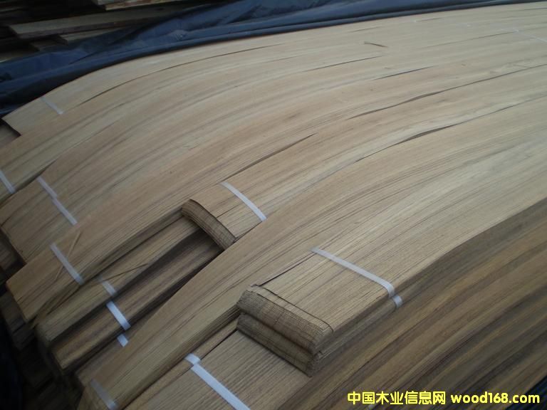 ��ľ��Ԕ����B