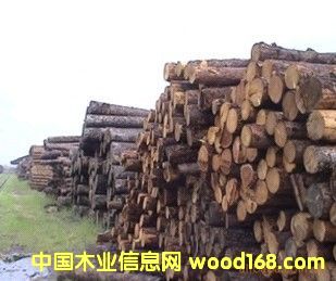 ��ľԭľ��Ԕ��(x��)��B