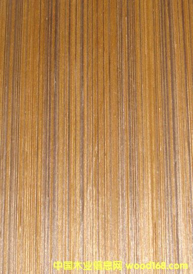 �Ƽ�ľľƤ��Ԕ����B