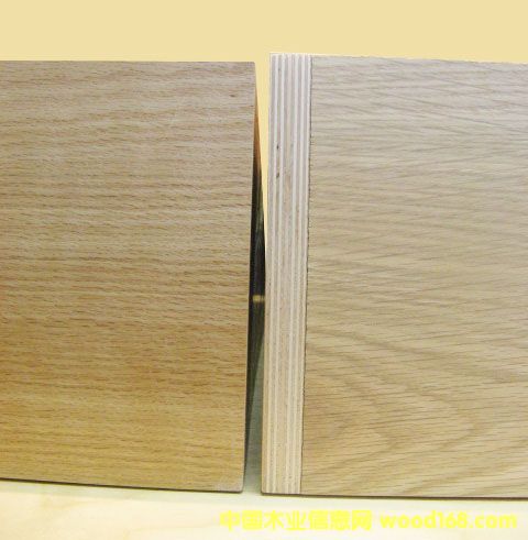 ��ľ�z�ϰ��Ԕ��(x��)��B