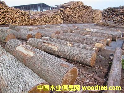 ɼľ2��Ԕ��(x��)��B