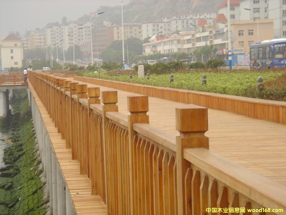 ��������ľ����