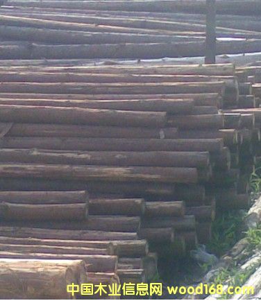 ��ľ��Ԕ��(x��)��B