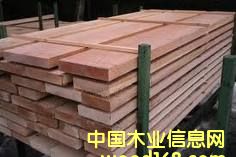 �����t��ľ��Ԕ����B