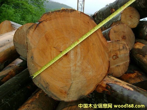 �W�޵���ľ��Ԕ��(x��)��B