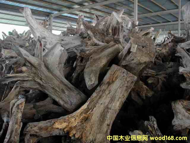 �ϓ�t��֦��(sh��)�^����(sh��)����Ԕ��(x��)��B