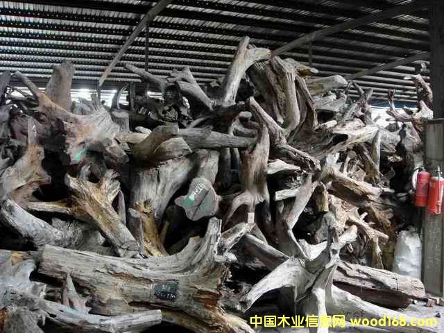 �ϓ�t��֦��(sh��)�^����(sh��)����Ԕ��(x��)��B